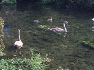 Tour the Cotswolds-Snowshill必去景点