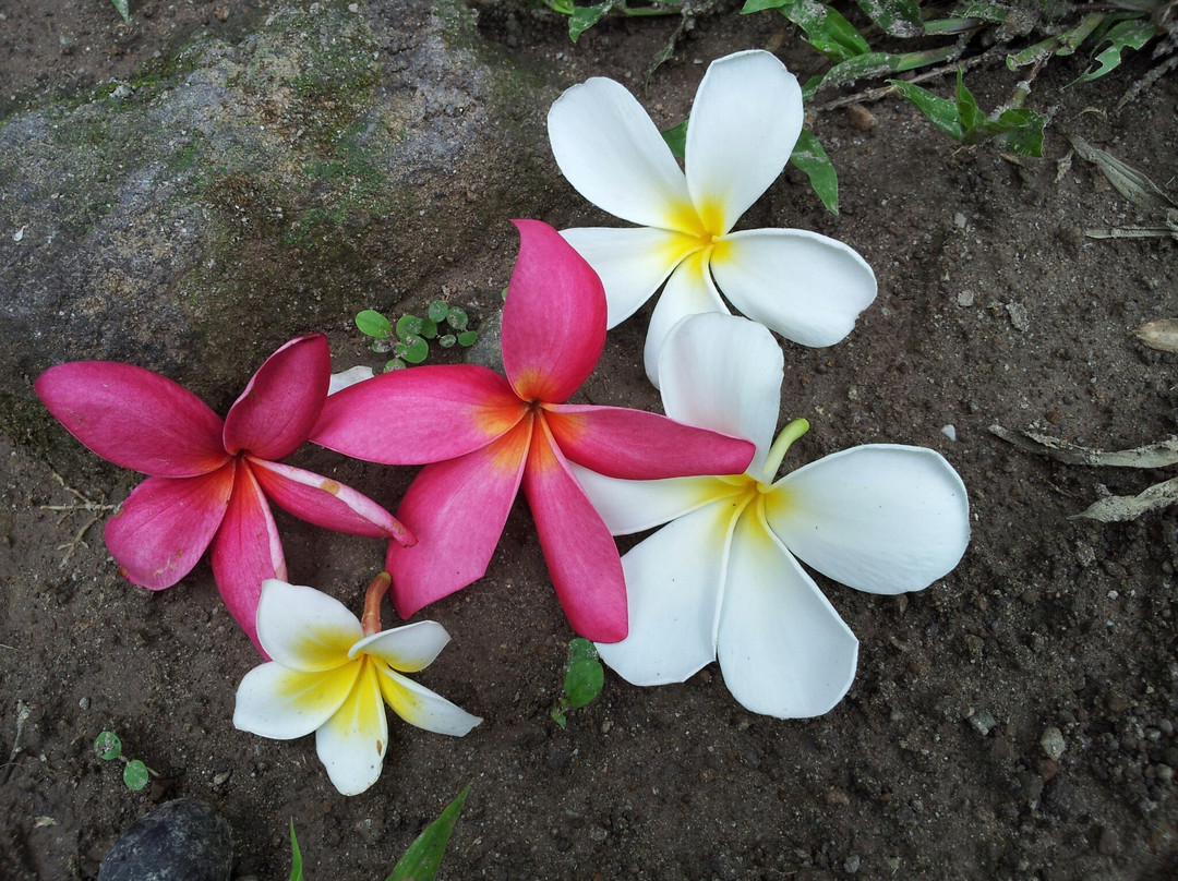 班珀农村-琅勃拉邦必去景点