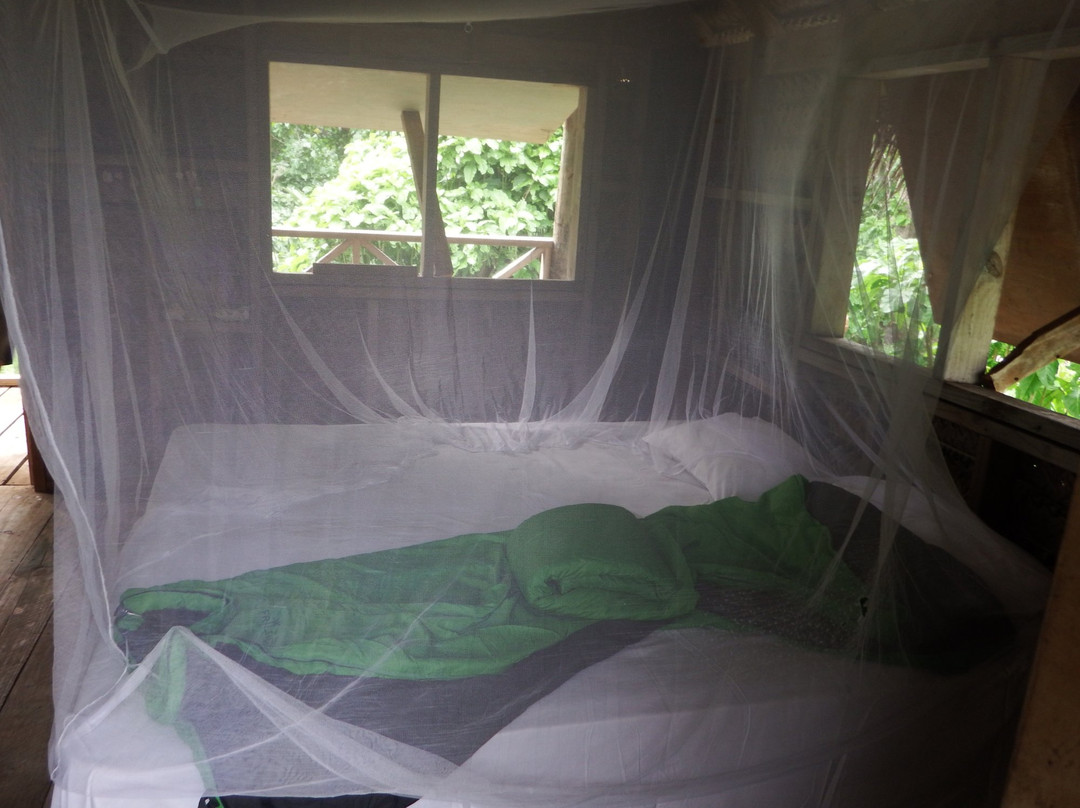 Luahoko Robinson Island-Foa Island必去景点