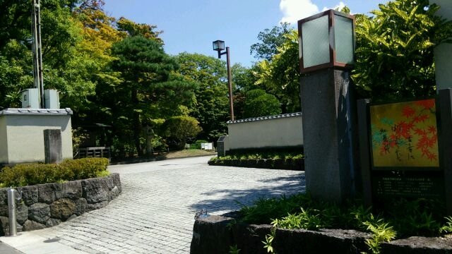Momiji Park景点图片