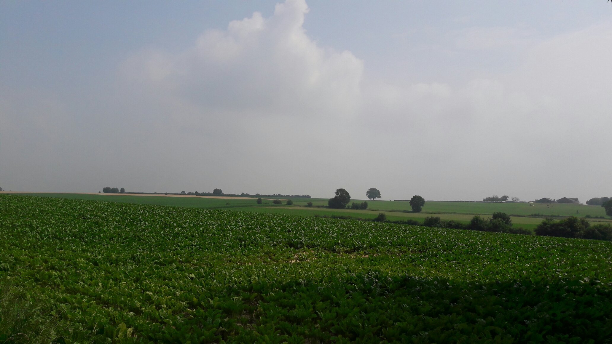 't Reijmerhofke-官方