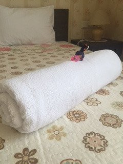 Bonjour
