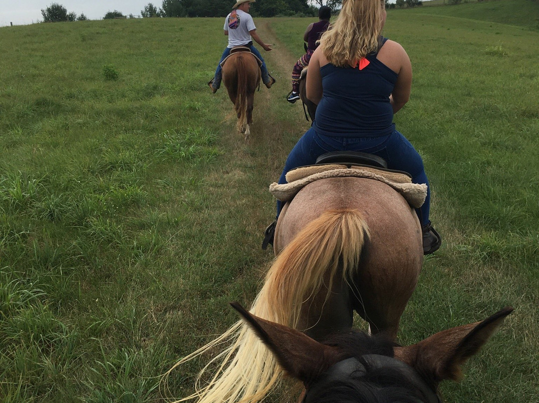 Star B Stables-斯汤顿必去景点