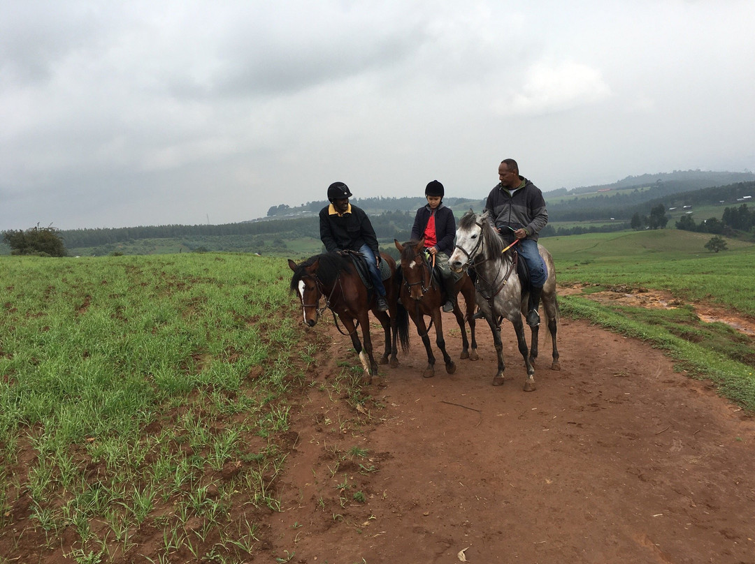 Beka Ferda Ranch景点图片