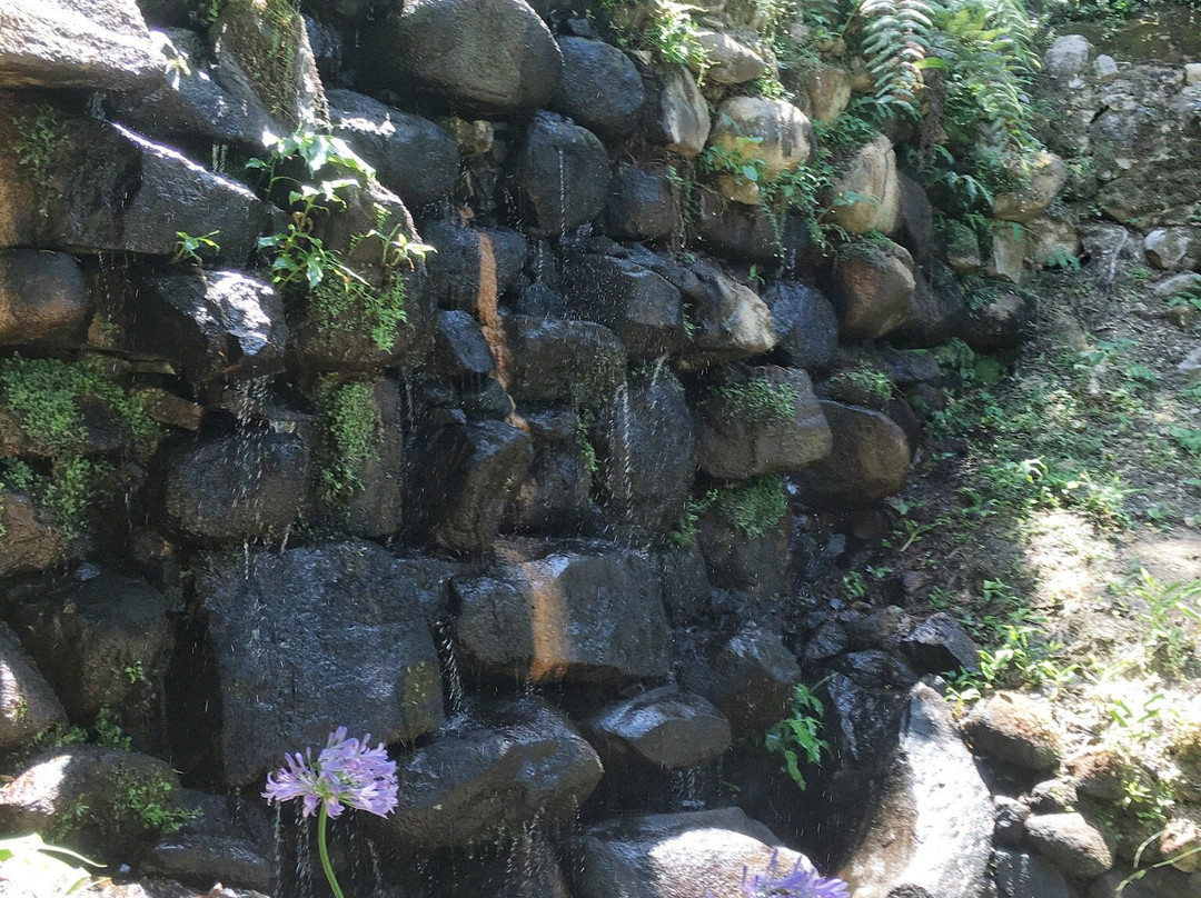 Sintra Climbing Tours景点图片
