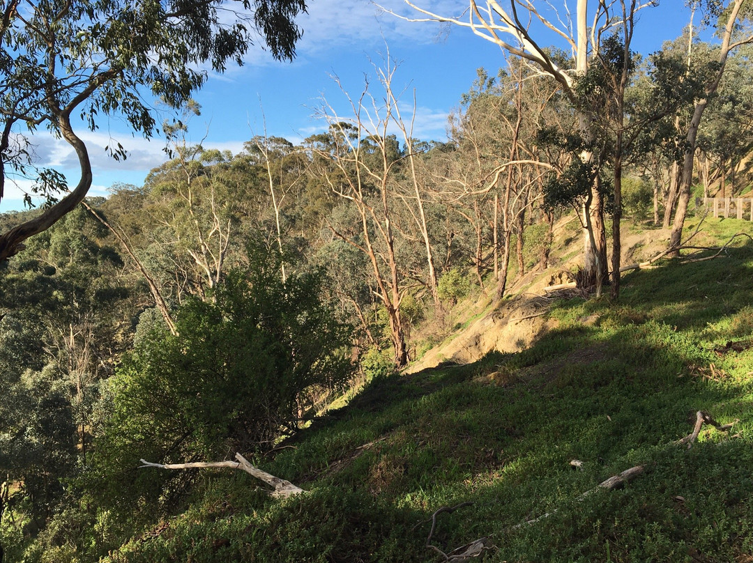 Yellow Gum Recreation Area-Plenty必去景点
