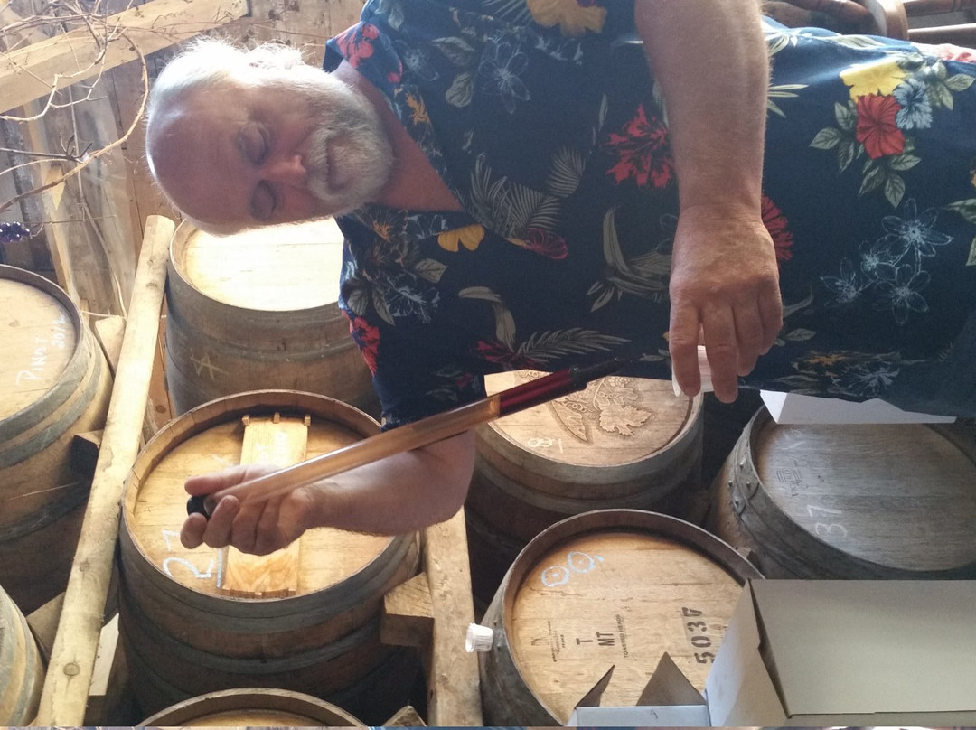 Black Prince Winery & Canadian Cellars offering Wood-Fired Pizza & Disc Golf景点图片