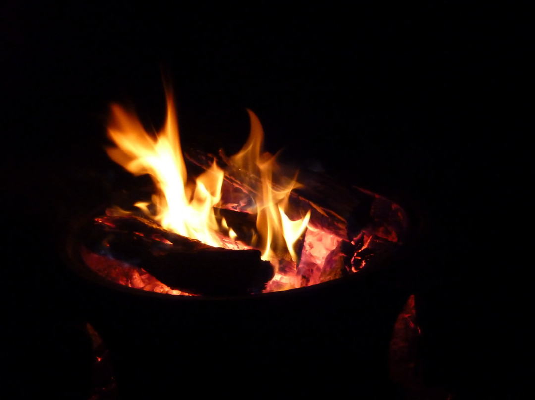 Poetry on a Plate-Bourke必去景点