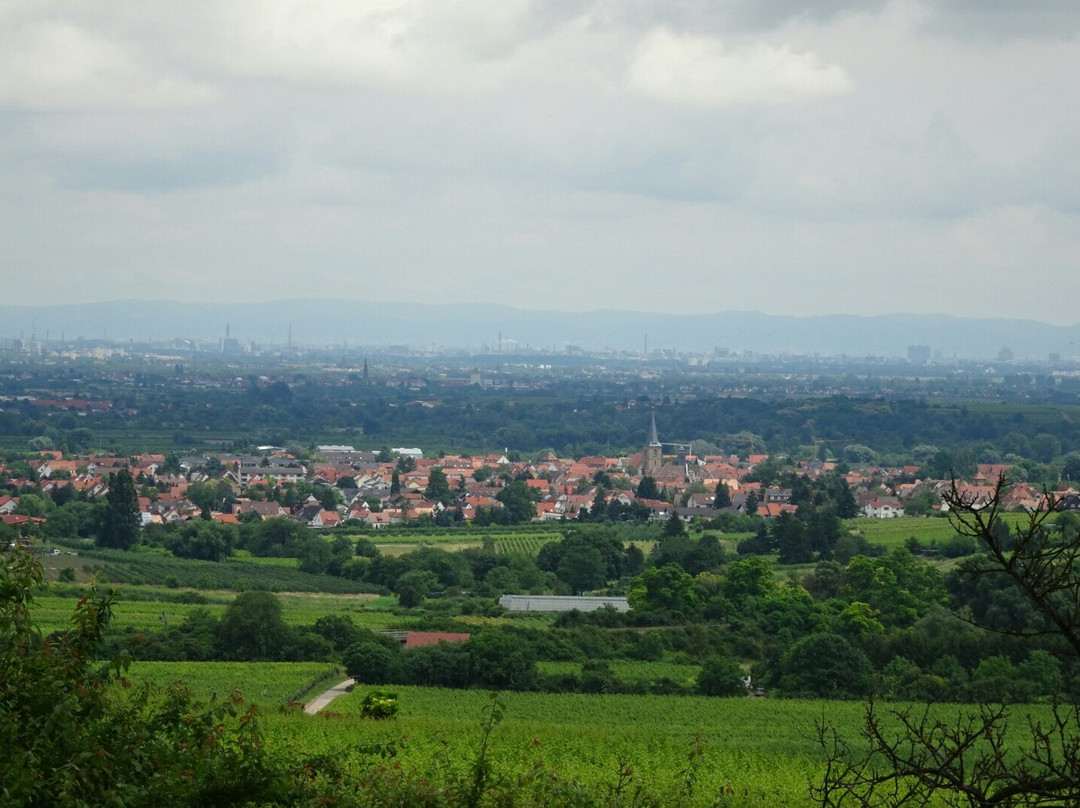 Weisenheim am Berg旅游攻略图片