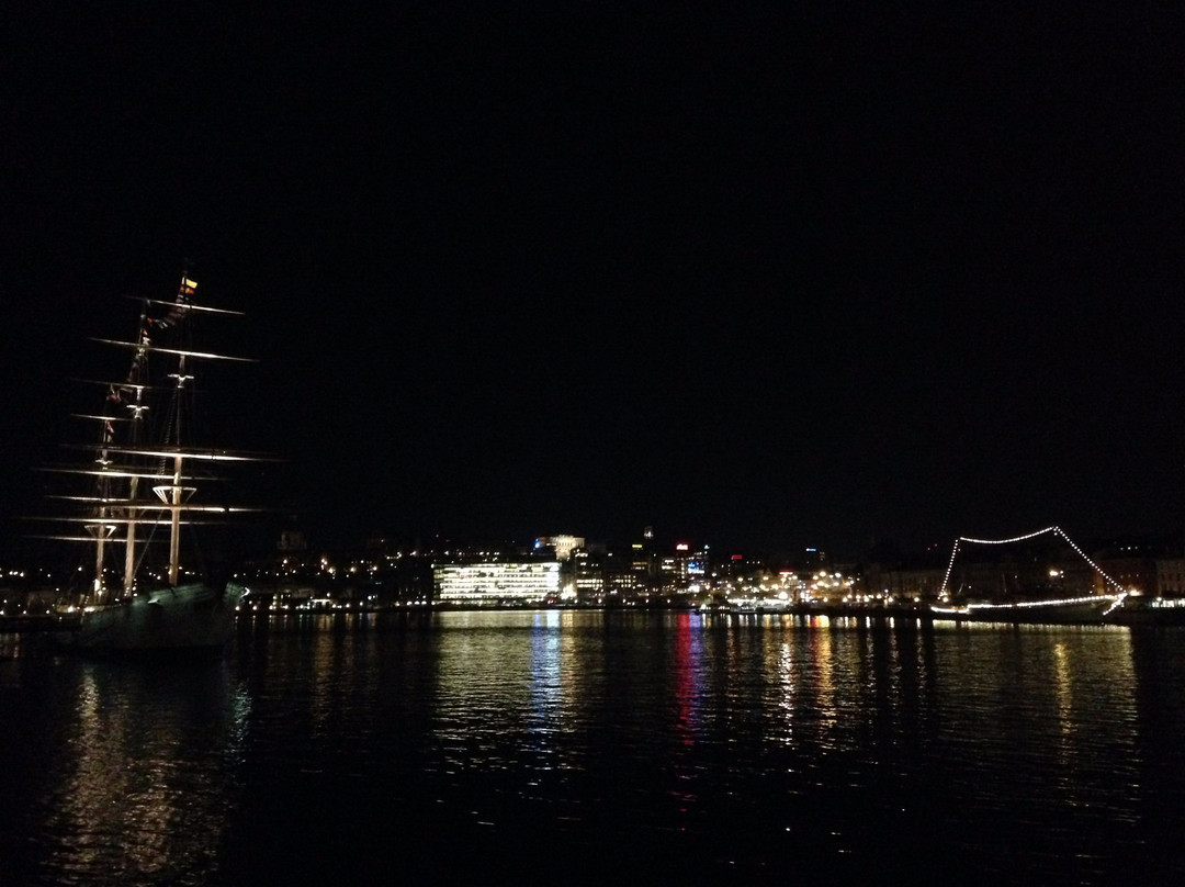 STF Hostel Stockholm/Hellasgården
