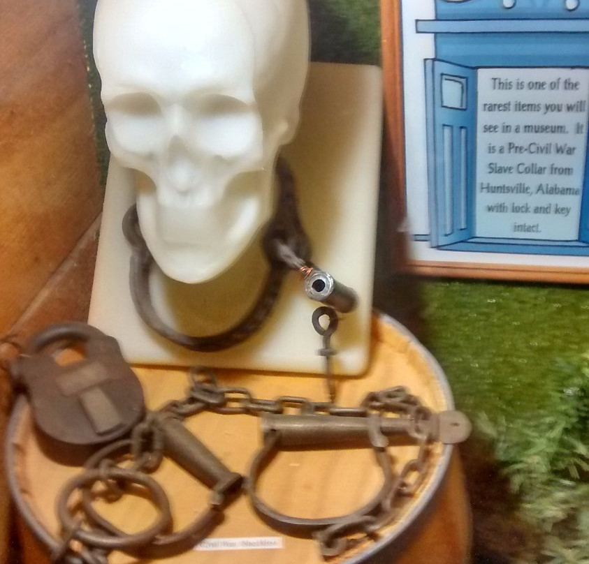 Creation Museum景点图片