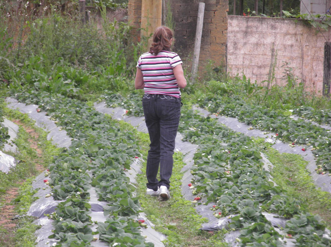 Sítio Herança Agroturismo-多明戈斯-马丁斯必去景点