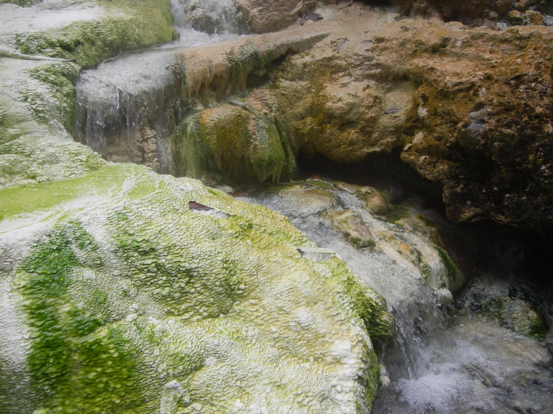 Tinggi Raja White Crater-棉兰必去景点