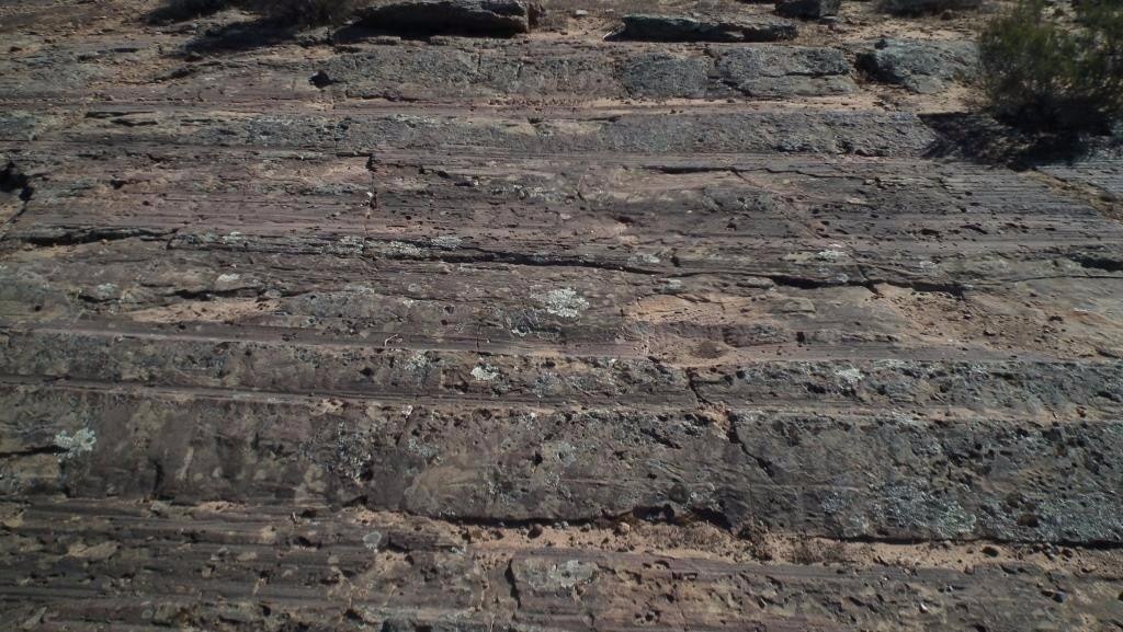 Glacial Pavement-Nieuwoudtville必去景点