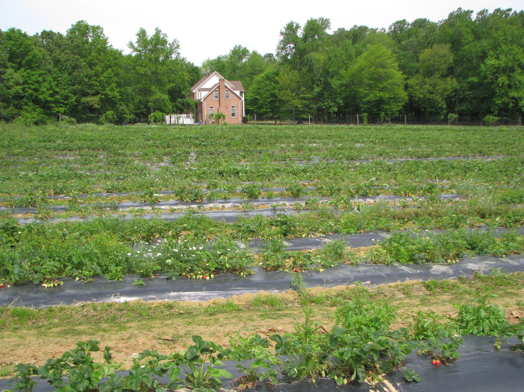Miller Farms-Clinton必去景点