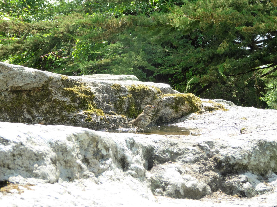 Dolmen de Mane Rethual-Locmariaquer必去景点