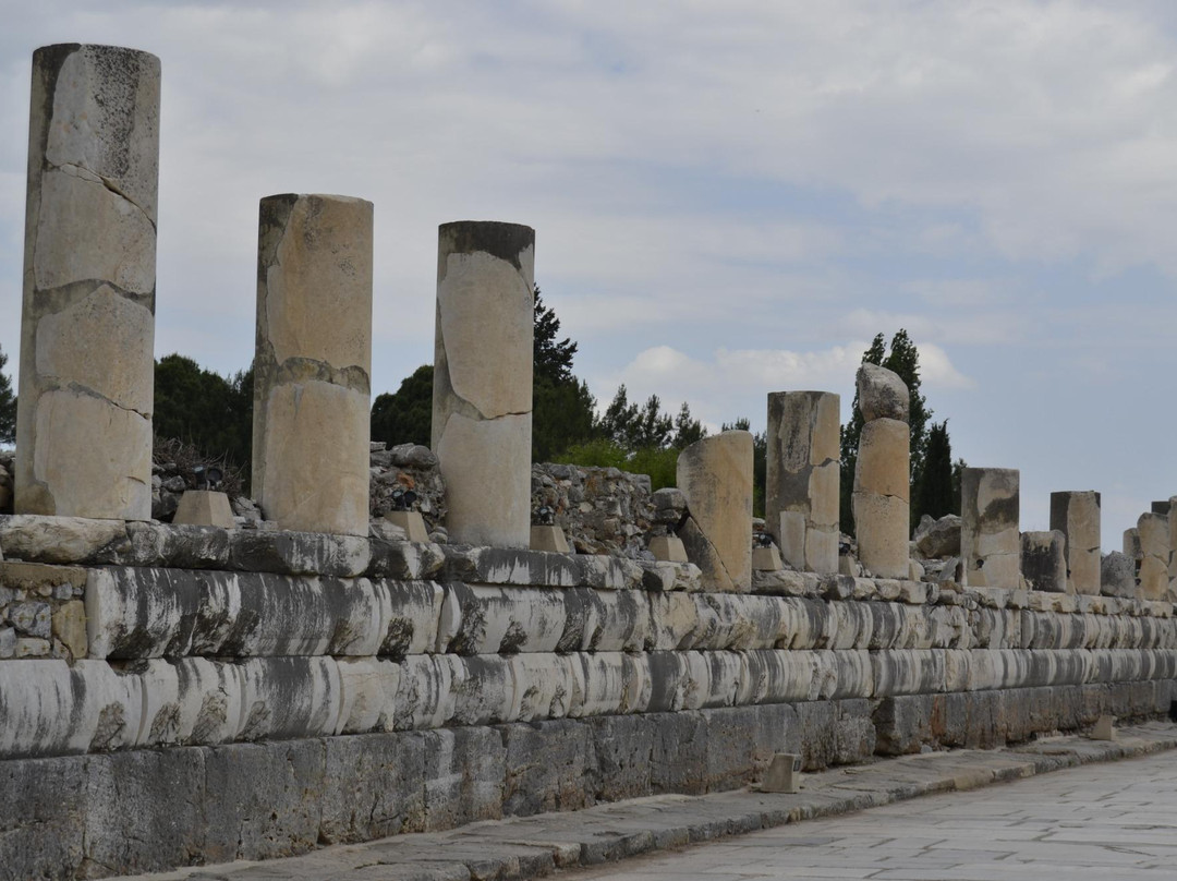 Izmir Museum of Arts & Sculpture-伊兹密尔必去景点
