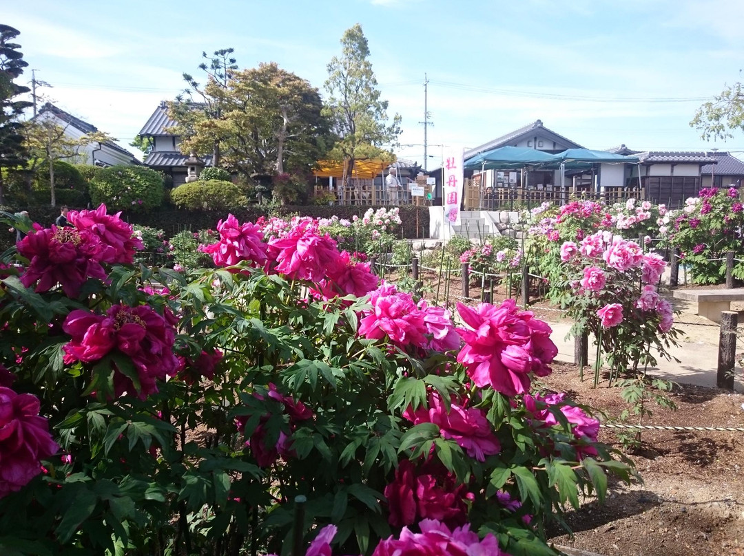 Nagashima Yasuragi Park-桑名市必去景点