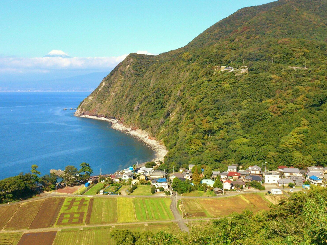 Kirameki no Oka Observation Area景点图片
