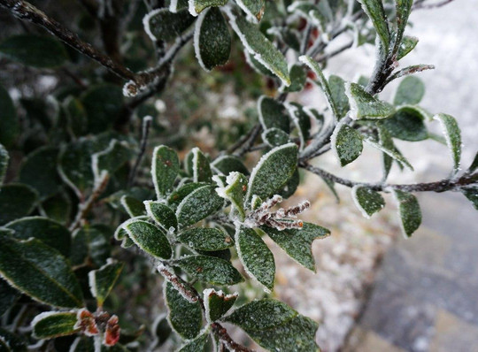 广西大明山-武鸣县必去景点