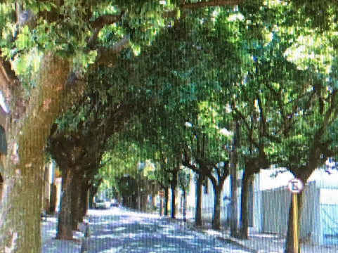 Araraquara旅游景点-Rua 5