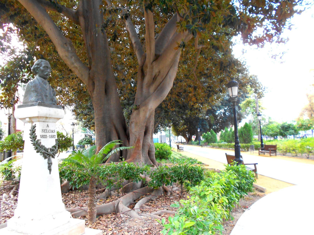 Jardin de Floridablanca景点图片