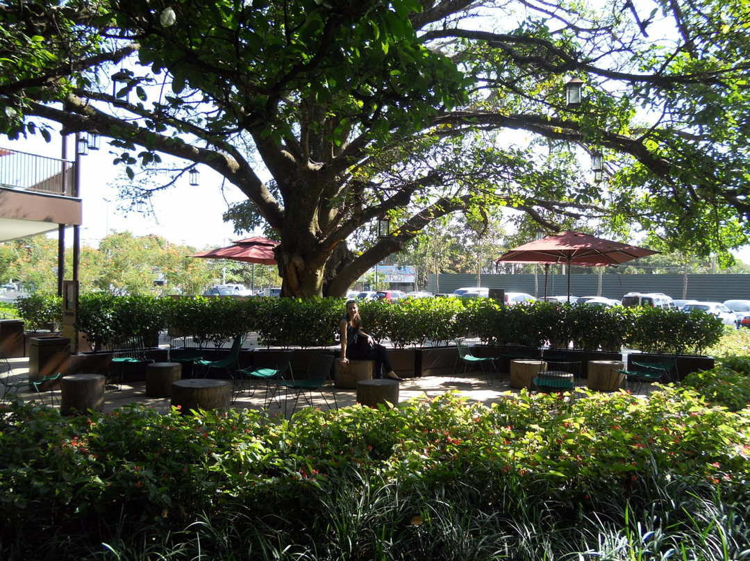 普雷图河畔圣若泽旅游景点-Shopping Iguatemi