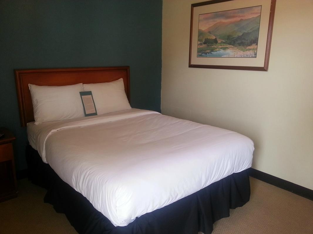 Stafford Motor Inn主图