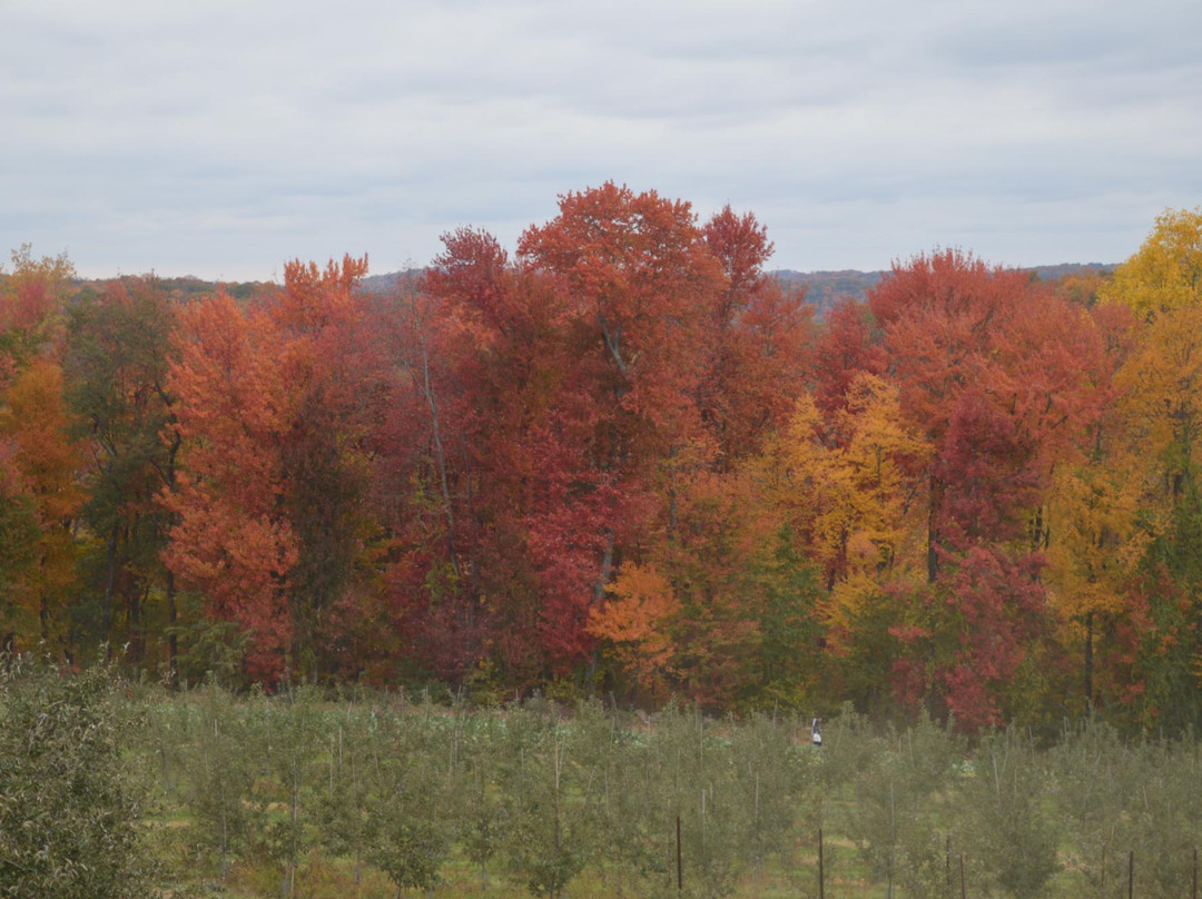 Harvest Moon Farm & Orchard-North Salem必去景点