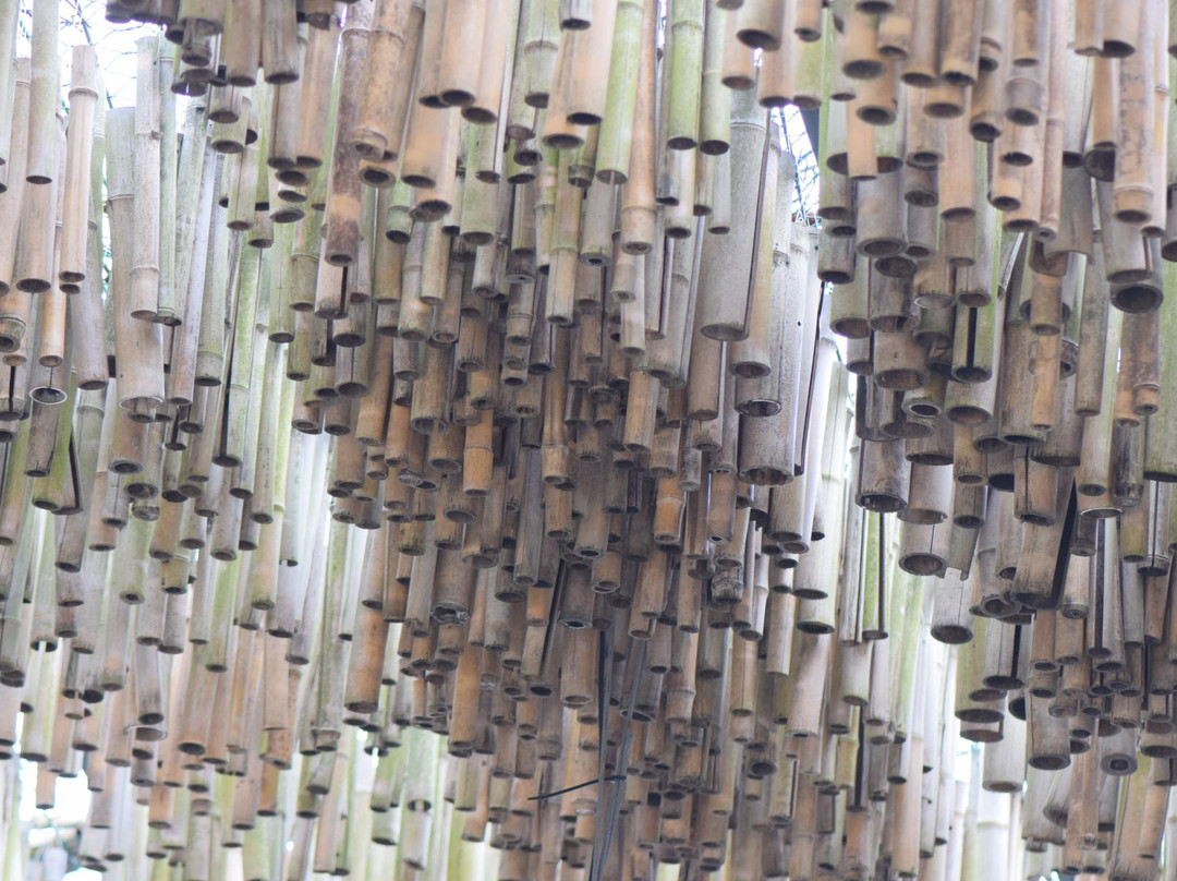 Eco Parkland Zoo-咸平郡必去景点