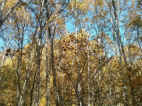 喇叭沟门国家森林公园-北京市必去景点