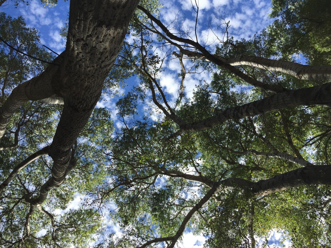 Aravaipa Canyon Wilderness - West Trailhead-Winkelman必去景点