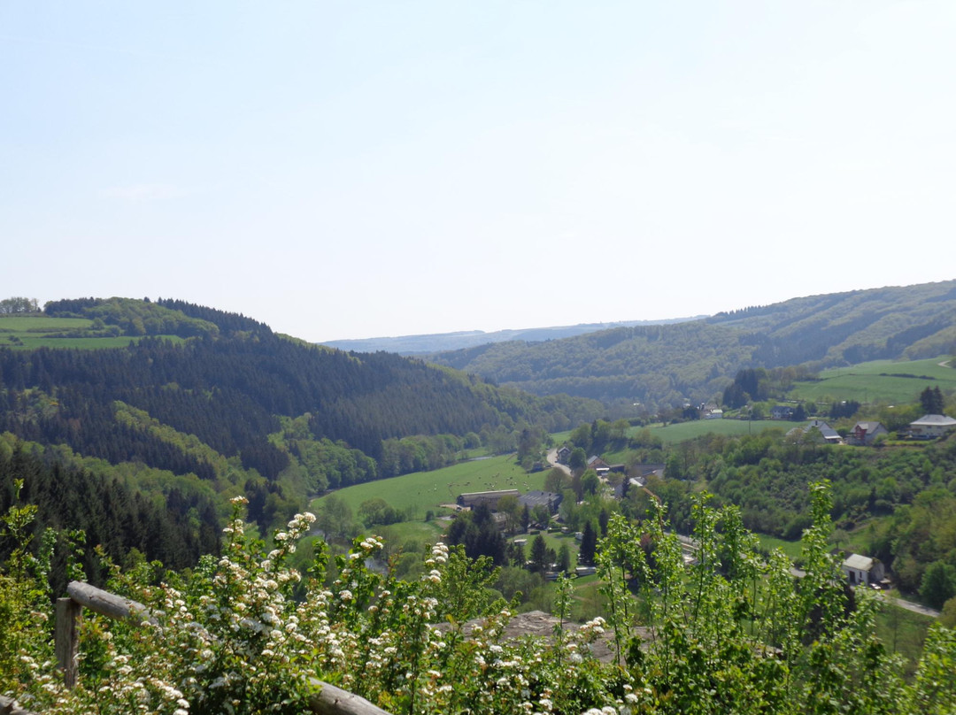Wahlhausen旅游景点-Chateau-Fort de Dasburg