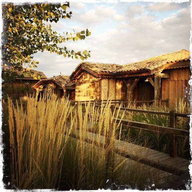 Spa Vinotherapie Caudalie景点图片