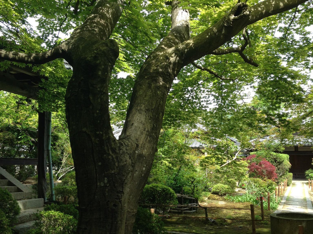 Daimon-ji Temple-茨木市必去景点