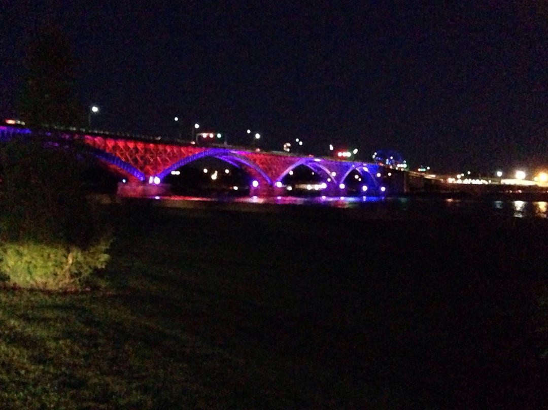 Peace Bridge-Fort Erie必去景点