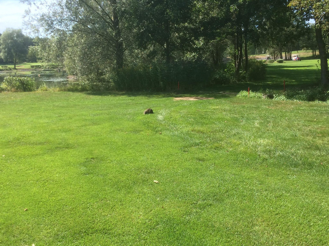 Golfclub International Soufflenheim Baden-Baden景点图片