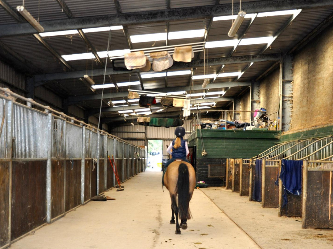 Kinsale Equestrian Centre景点图片