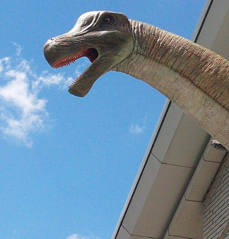 Tamba Dinosaurs Fossil Studio Chitan Museum-丹波市必去景点