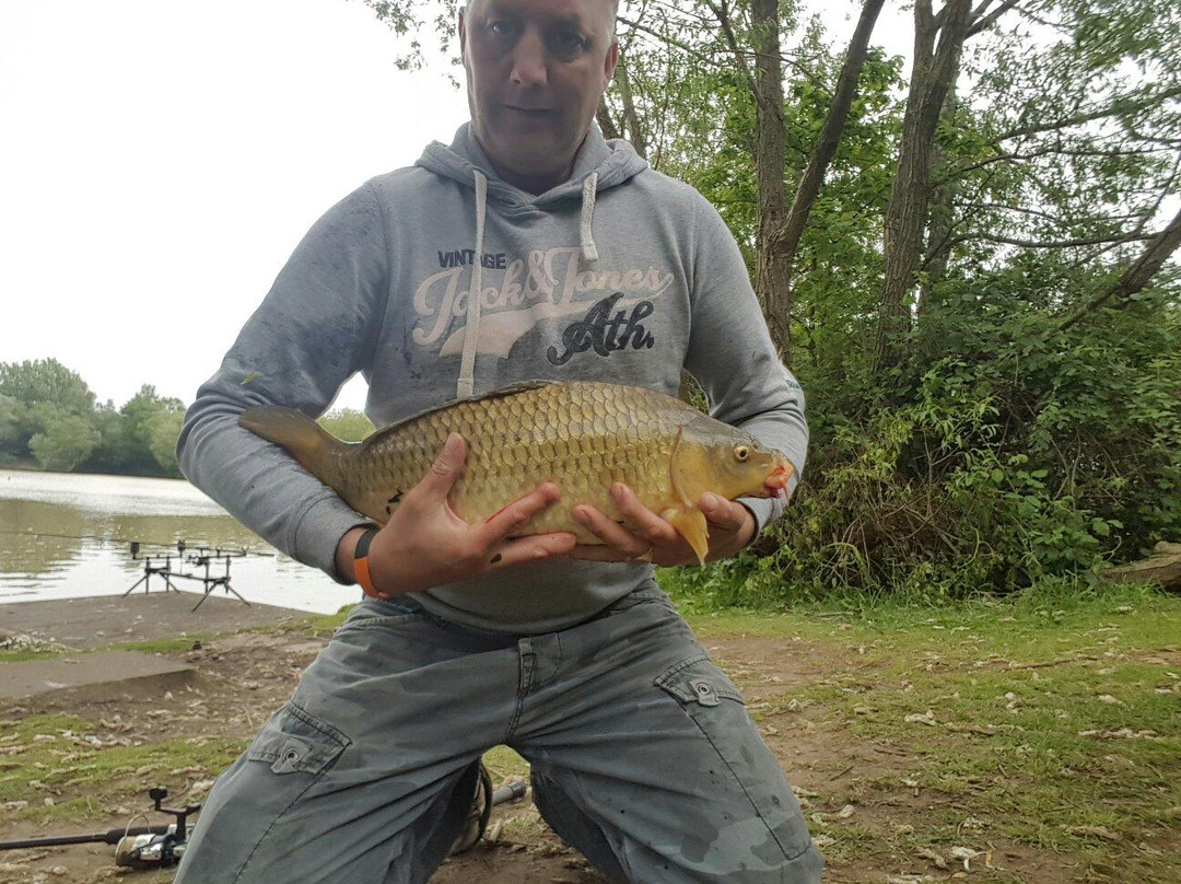 Packington Somers Fishery景点图片