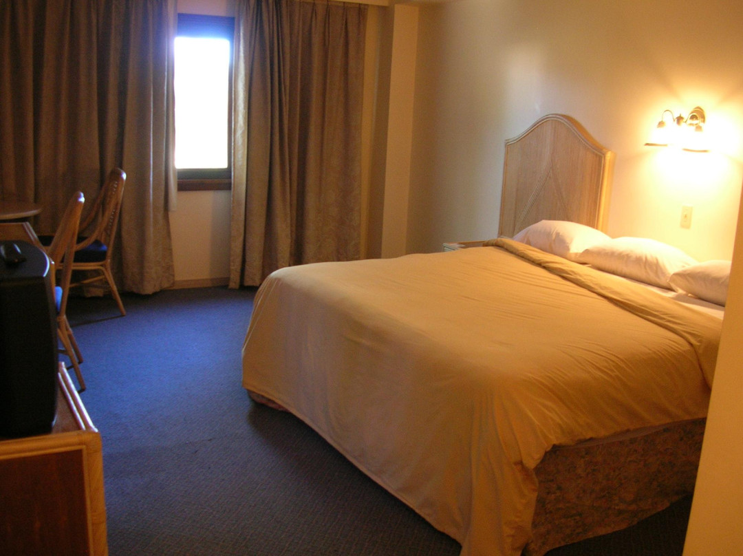 Hotel de La Tour主图