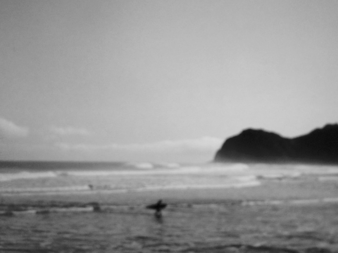 Auckland Photography Tours-奥克兰中心地区必去景点