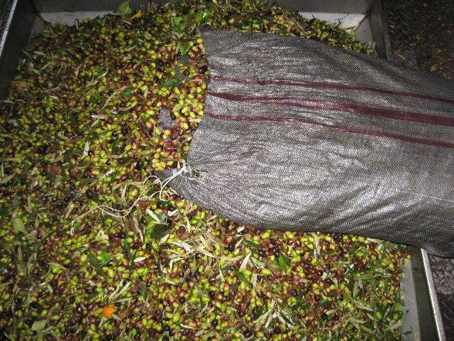 Koakos Eleonas-Zipari必去景点