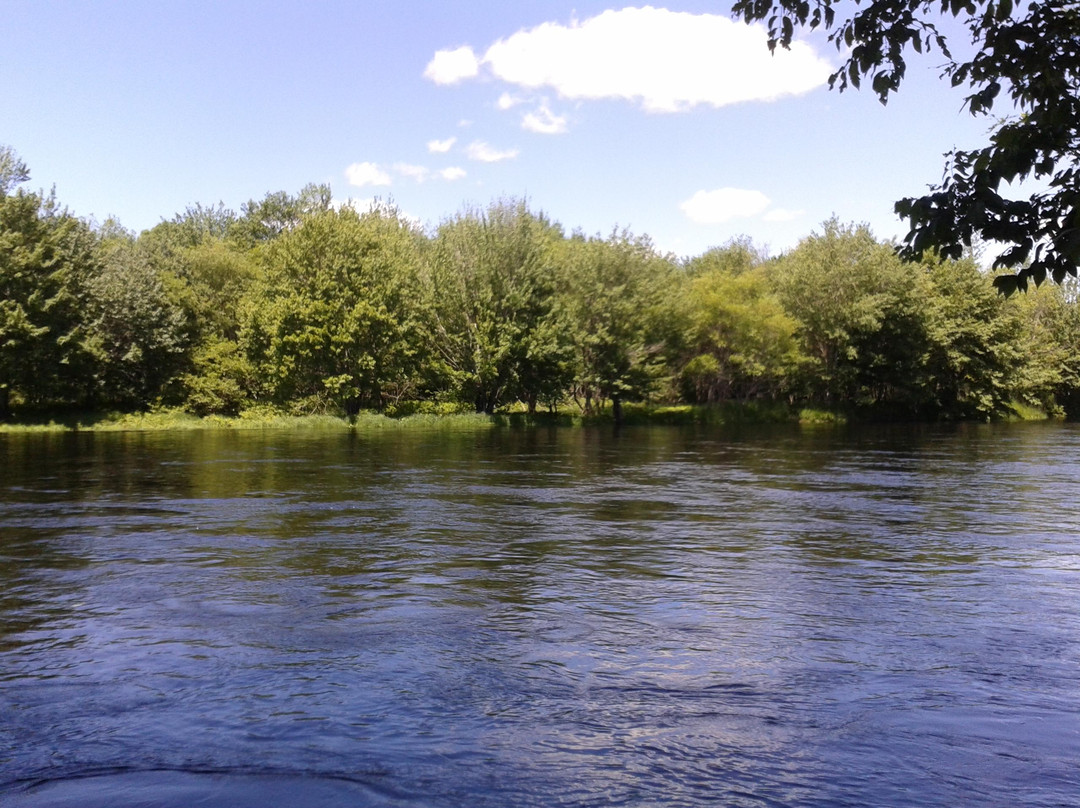 Sam's Woodland Tours-Bridgewater必去景点