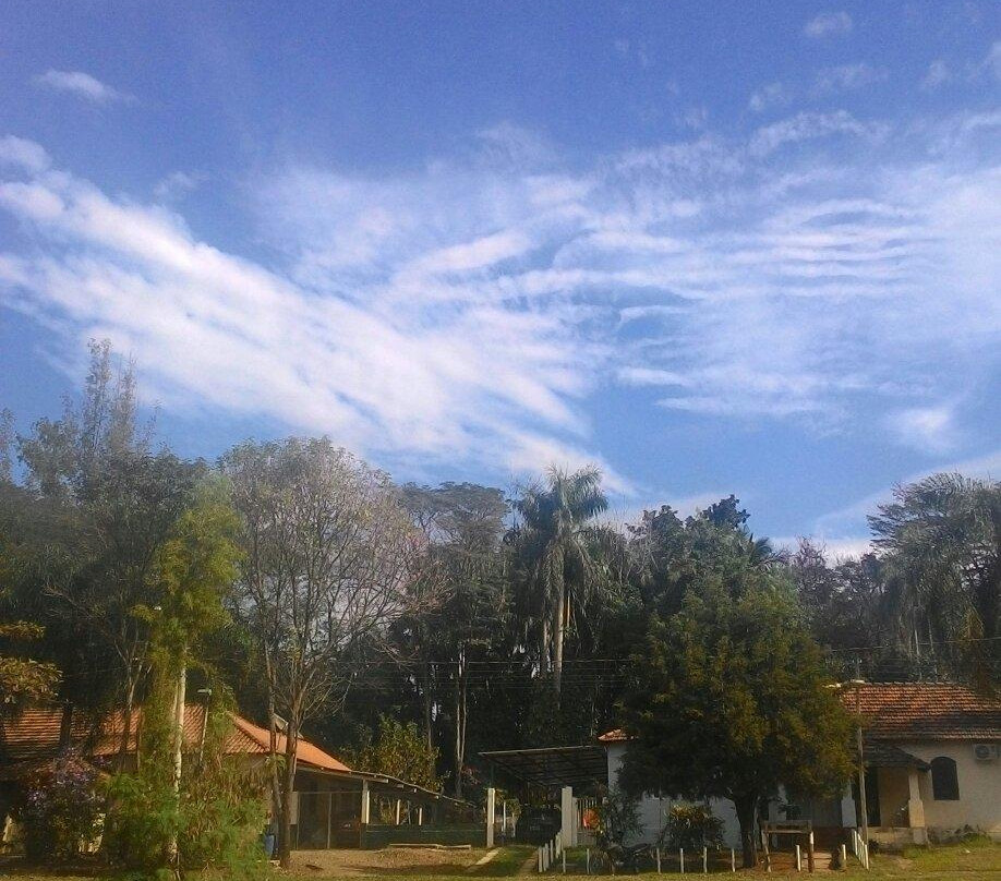 Limeira旅游景点-Horto Florestal De Limeira