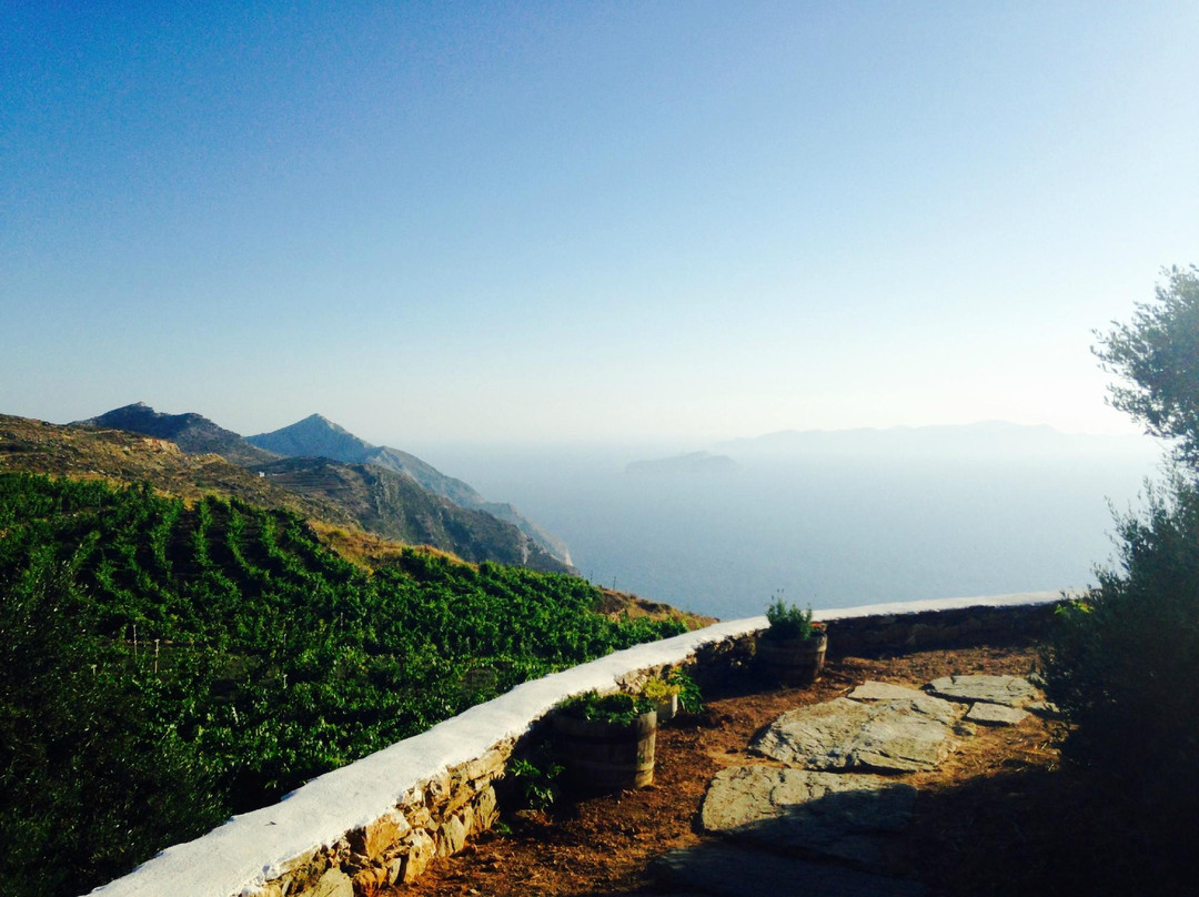 Sikinos旅游景点-Manalis Winery