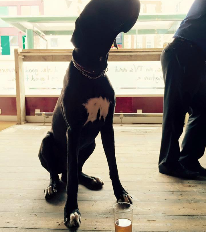 The Wight Bear-伯恩茅斯必去景点