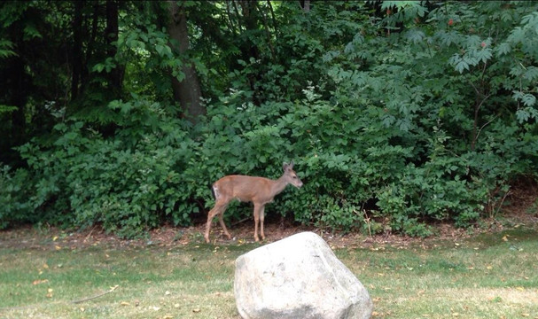 Cates Park Paddling Centre-北温哥华必去景点