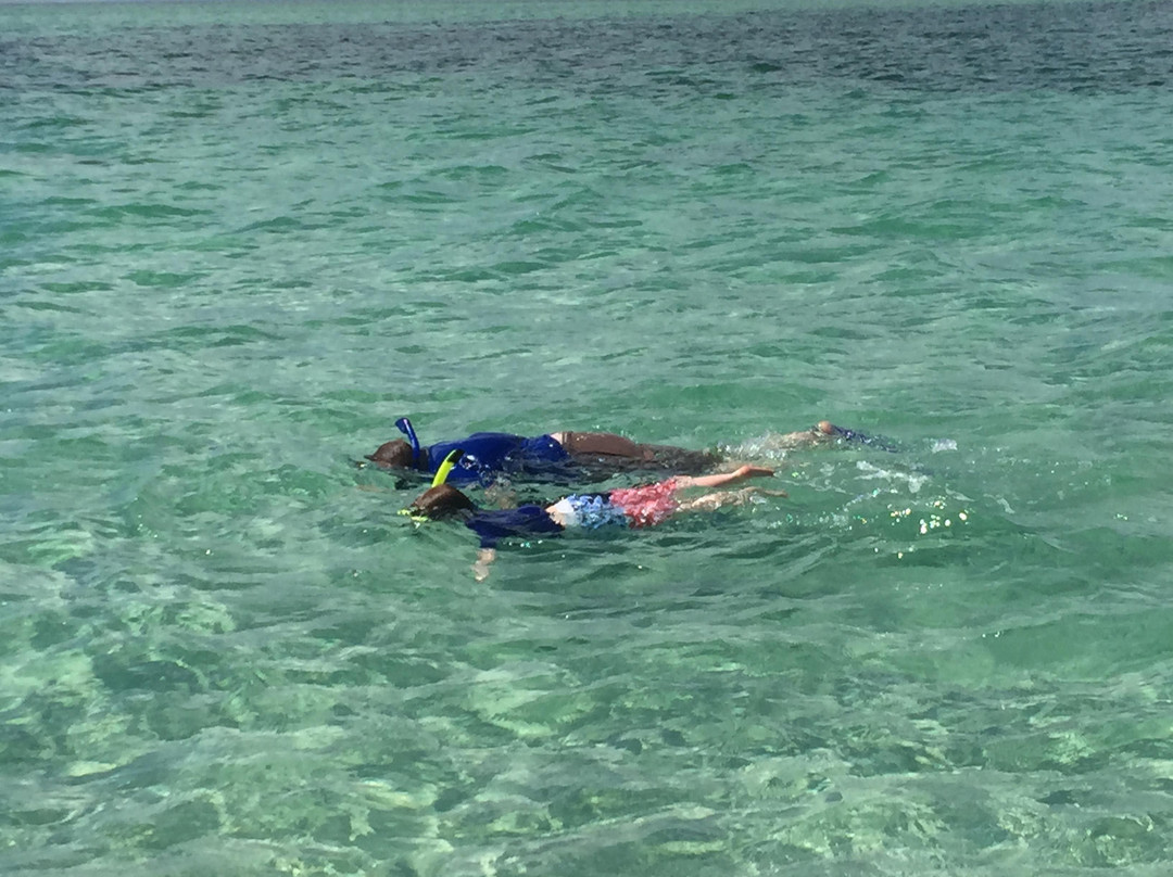 Straw Hat Charters-基韦斯特必去景点