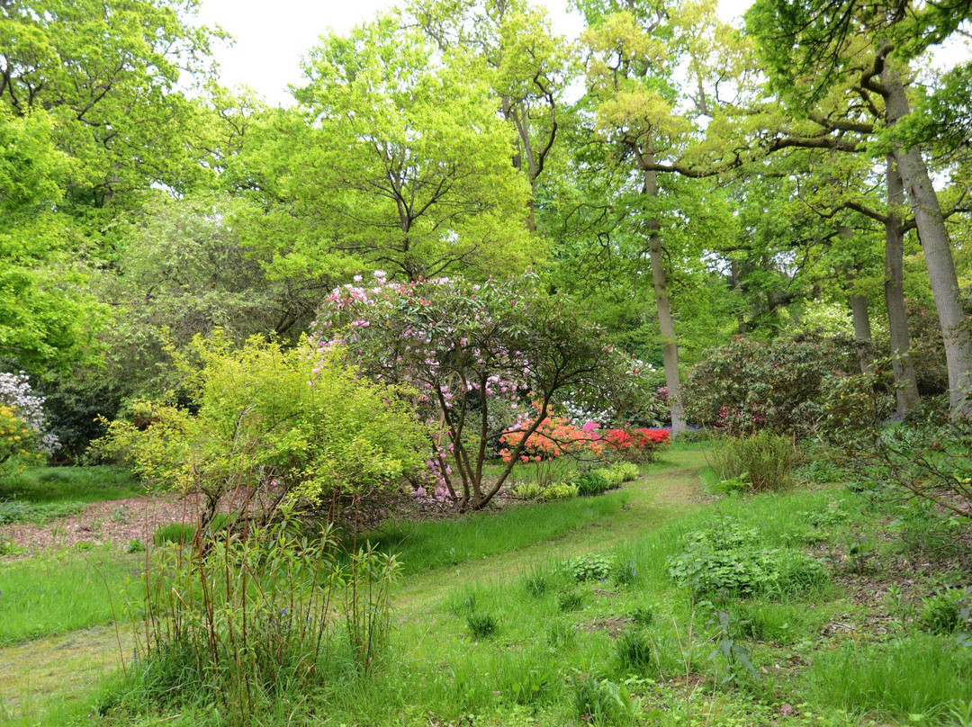 St. Paul's Walden Bury景点图片
